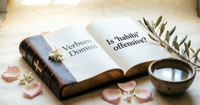 is habibi offensive